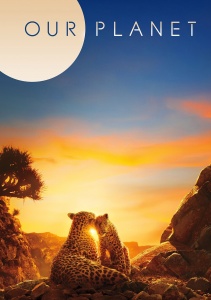 Аниме онлайн